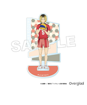 ハイキュー！！ 狐爪研磨 アクリルスタンドパターンアート