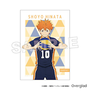 ハイキュー！！ 日向翔陽 布ポスターパターンアート