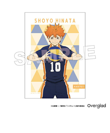 ハイキュー！！ 日向翔陽 布ポスターパターンアート
