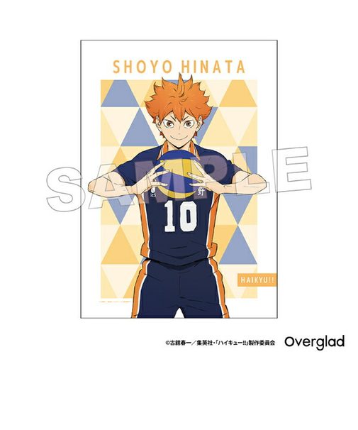 ハイキュー！！ 日向翔陽 布ポスターパターンアート
