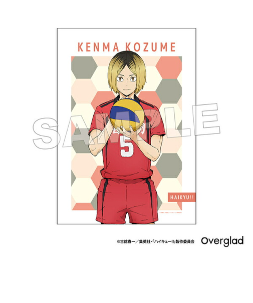 ハイキュー！！ 狐爪研磨 布ポスターパターンアート