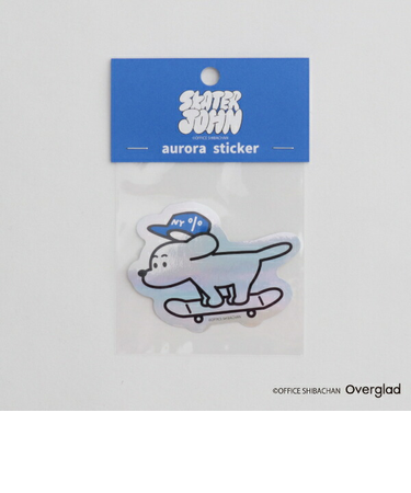 SKATER JON (スケータージョン) オーロラステッカー (main) 日本製