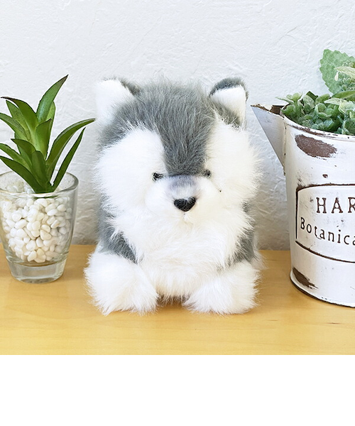 ハスキーぬいぐるみ 手を挙げたデザイン わたぽ ハスキー ぬいぐるみ｜パーフェクトワールドの通販
