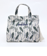 ディズニー ヘラクレス ハデス キャンパスミニショルダーバッグ ACCOMMODE アコモデ Disney