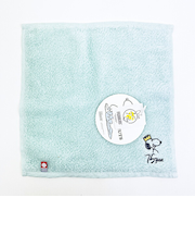 スヌーピー PEANUTS 75th かるわた ミニタオル グリーン ハンカチ 今治 日本製 西川 SNOOPY