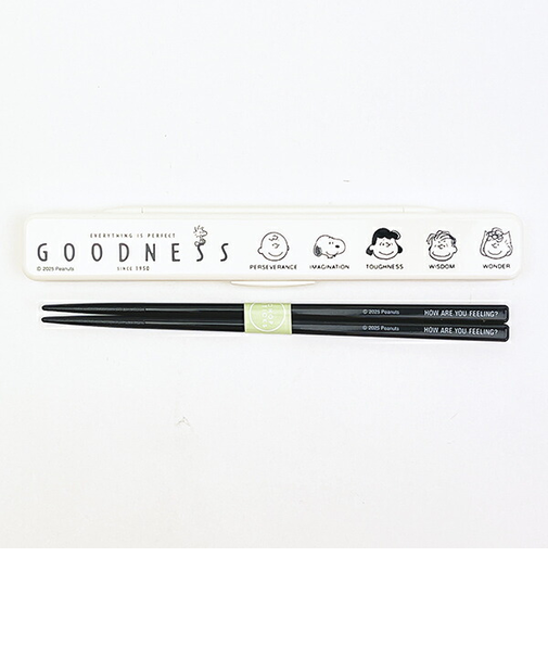 スヌーピー 抗菌 音のならない箸・箸箱セット ランチ PEANUTS 75th Anniversary SNOOPY 日本製