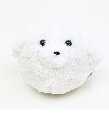 ぬいコロン わんコロン ビション・フリーゼ 犬