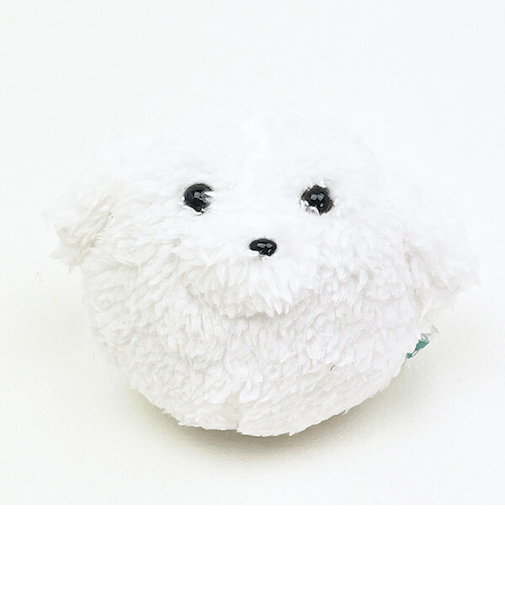 ぬいコロン わんコロン ビション・フリーゼ 犬