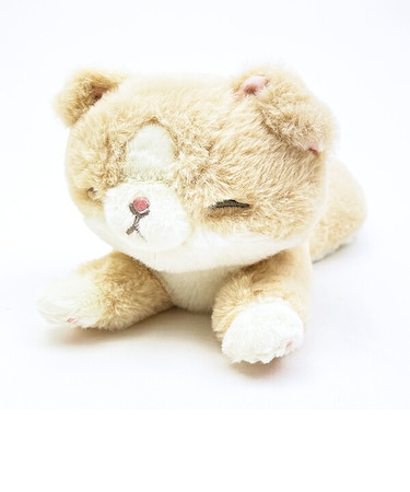 くたっとびより スコティッシュフォールド ミニクッション 猫 りぶはあと