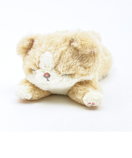 くたっとびより スコティッシュフォールド マスコット 猫 りぶはあと