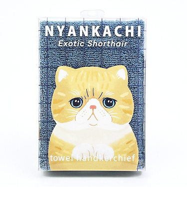 にゃんかち エキゾチックショートヘア ハンカチタオル りぶはあと