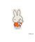ミッフィー miffy ステッカー レッド ブルーナ・カラーシリーズ 文具 シール
