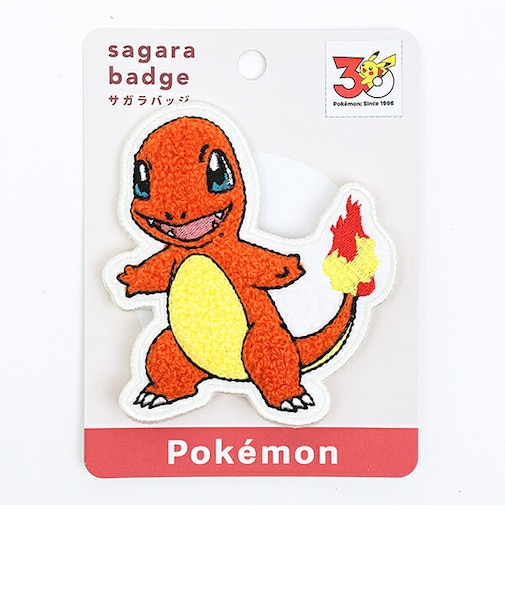 ポケットモンスター ヒトカゲ サガラバッジ ポケモン