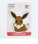 ポケットモンスター 30th イーブイ サガラバッジ ポケモン