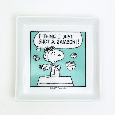 スヌーピー スクエアプレート (グリーン) お皿 コミックシリーズ 日本製 SNOOPY