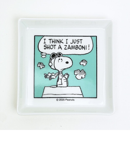 スヌーピー スクエアプレート (グリーン) お皿 コミックシリーズ 日本製 SNOOPY