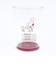 スヌーピー プラスチックコップ レッド シェフシリーズ 日本製 SNOOPY