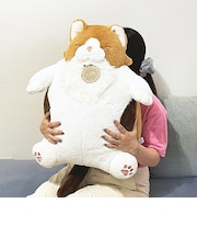 ねこ肯定感 ノルウェージャンのアンチョビ 抱きまくら(BIG) ぬいぐるみ りぶはあと