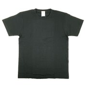 セサミストリート クッキー Tシャツ(L) アパレル