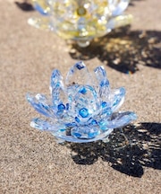 【チャイハネ】ガラスロータスカラーS