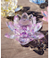 【チャイハネ】ガラスロータスカラーL