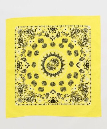 【チャイハネ】カイバンダナ