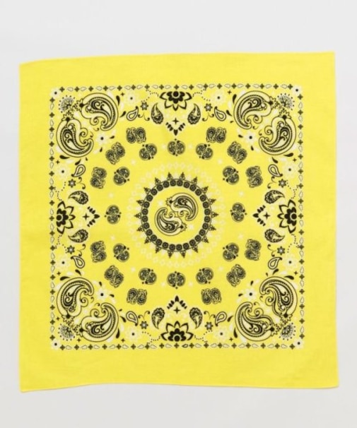 【チャイハネ】カイバンダナ