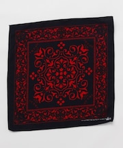 【チャイハネ】サヌバンダナ