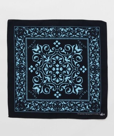 【チャイハネ】サヌバンダナ