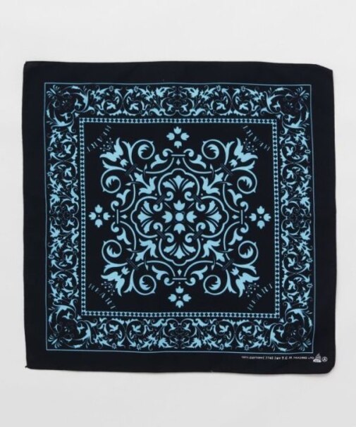 【チャイハネ】サヌバンダナ