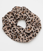 【チャイハネ】アニマシュシュ