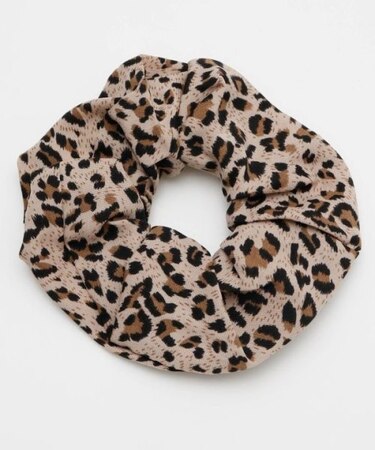 【チャイハネ】アニマシュシュ