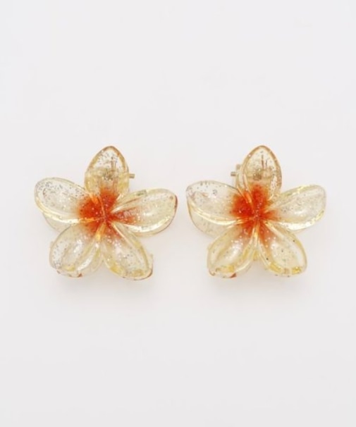 【カヒコ】プルメラメＳＥＴヘアクリップ