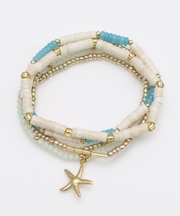 【カヒコ】シェルスタＳＥＴブレス