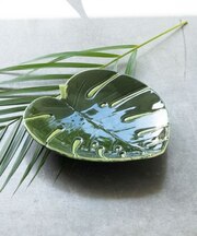 【カヒコ】【食器】モンステラプレートＬ