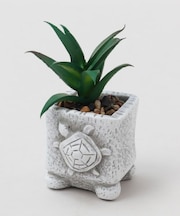 【カヒコ】フェイクプランツS