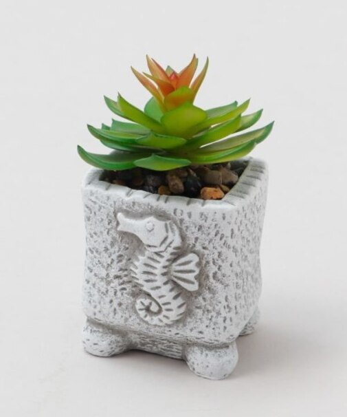 【カヒコ】フェイクプランツS