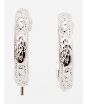 【カヒコ】プルメスクラウンドピアス