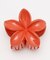 【カヒコ】プラメリアヘアクリップ