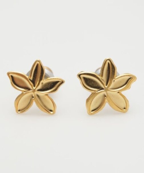 【カヒコ】【LEIGHTON　LAM】ミニプルメピアス