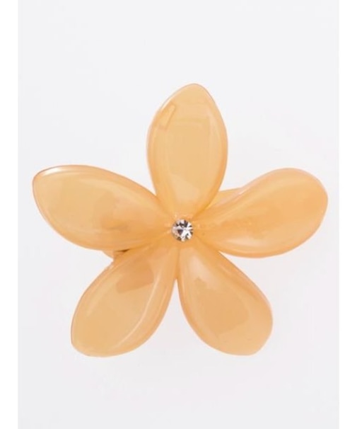 【カヒコ】ワメリアヘアクリップ