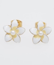 【カヒコ】プアラニピアス