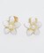 【カヒコ】プアラニピアス