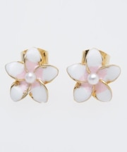 【カヒコ】プアラニピアス