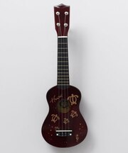 【カヒコ】ハワイアンウクレレ