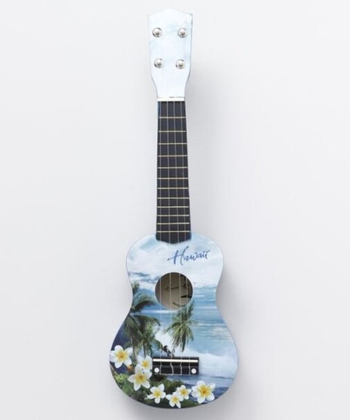 【カヒコ】ハワイアンウクレレ