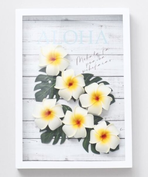 【カヒコ】プルメデコフレーム