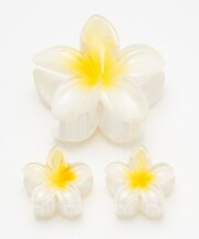 【カヒコ】プルメモエヘアクリップセット