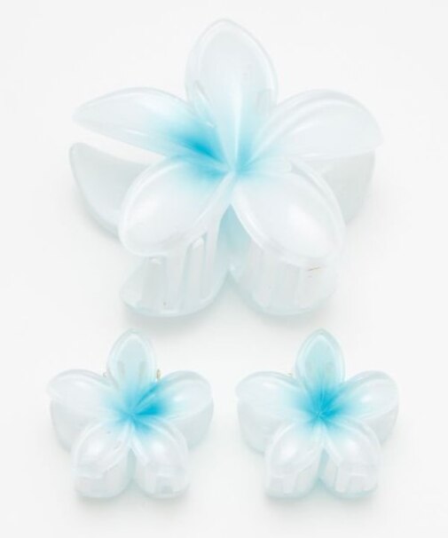 【カヒコ】プルメモエヘアクリップセット