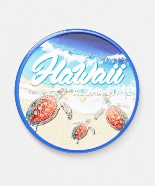 【カヒコ】マカナビーチコースター